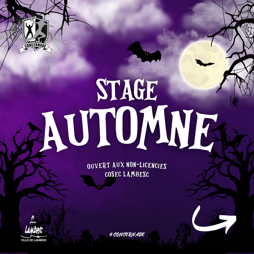 Stage Toussaint | semaine